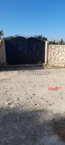 بقعة أرضية للبيع في إداوكرض الصويرة