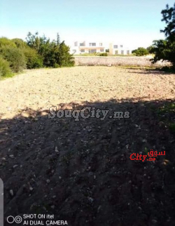 ارض للبيع فطريق الحرارثة الصويرة